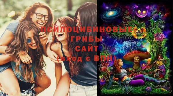МДПВ Абинск