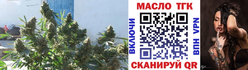 что такое   блэк спрут ССЫЛКА  Дистиллят ТГК Wax  Шадринск 