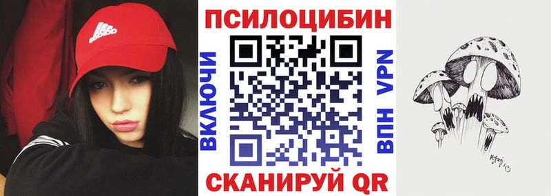 hydra ссылка  Шадринск  Галлюциногенные грибы GOLDEN TEACHER  как найти наркотики 