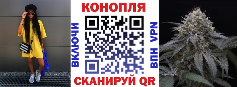 Конопля семена  как найти закладки  Шадринск 